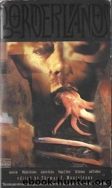 Borderlands 3 by Thomas F. Monteleone