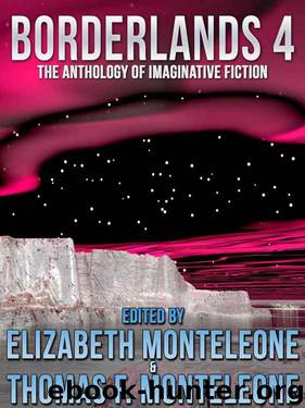 Borderlands 4 by Elizabeth Monteleone (epub)