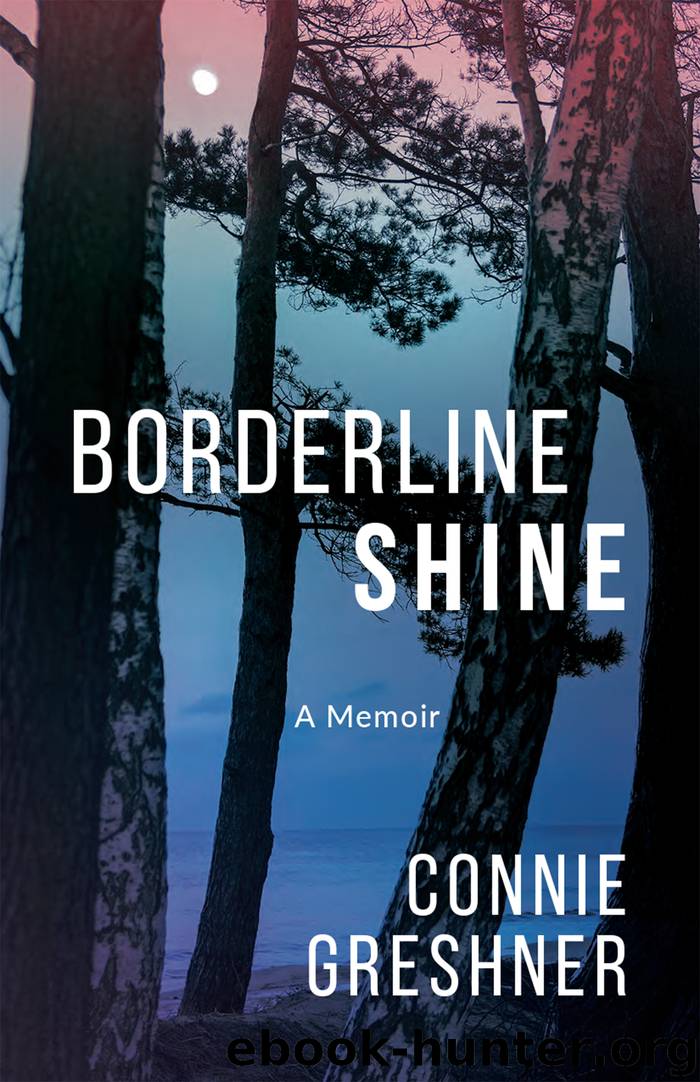 Borderline Shine by Connie Greshner