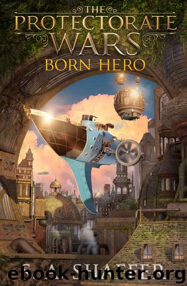 Born Hero by S A Shaffer