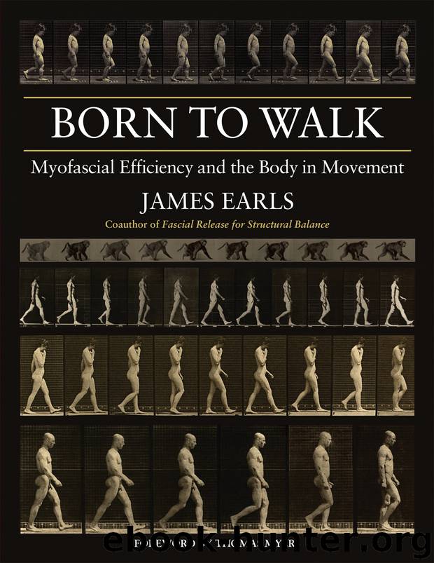 Born to Walk by James Earls