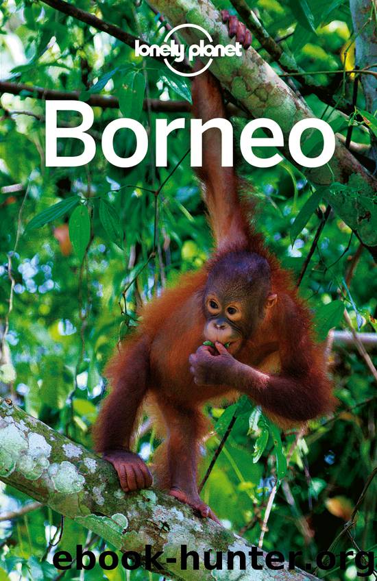 Borneo Travel Guide by Lonely Planet