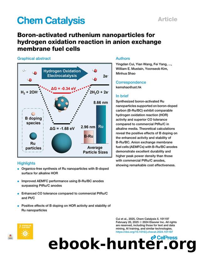 Boron-activated ruthenium nanoparticles for hydrogen oxidation reaction in anion exchange membrane fuel cells by unknow