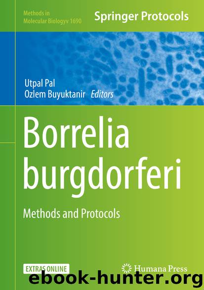 Borrelia burgdorferi by Utpal Pal & Ozlem Buyuktanir