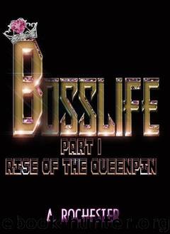 Boss Life by A. Rochester