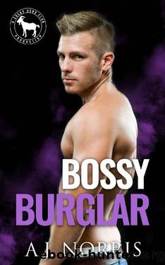 Bossy Burglar: A Hero Club Novel by A.J. Norris & Hero Club