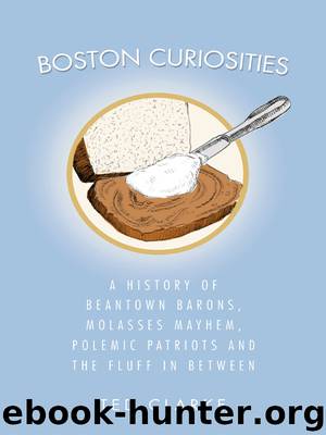 Boston Curiosities by Ted Clarke