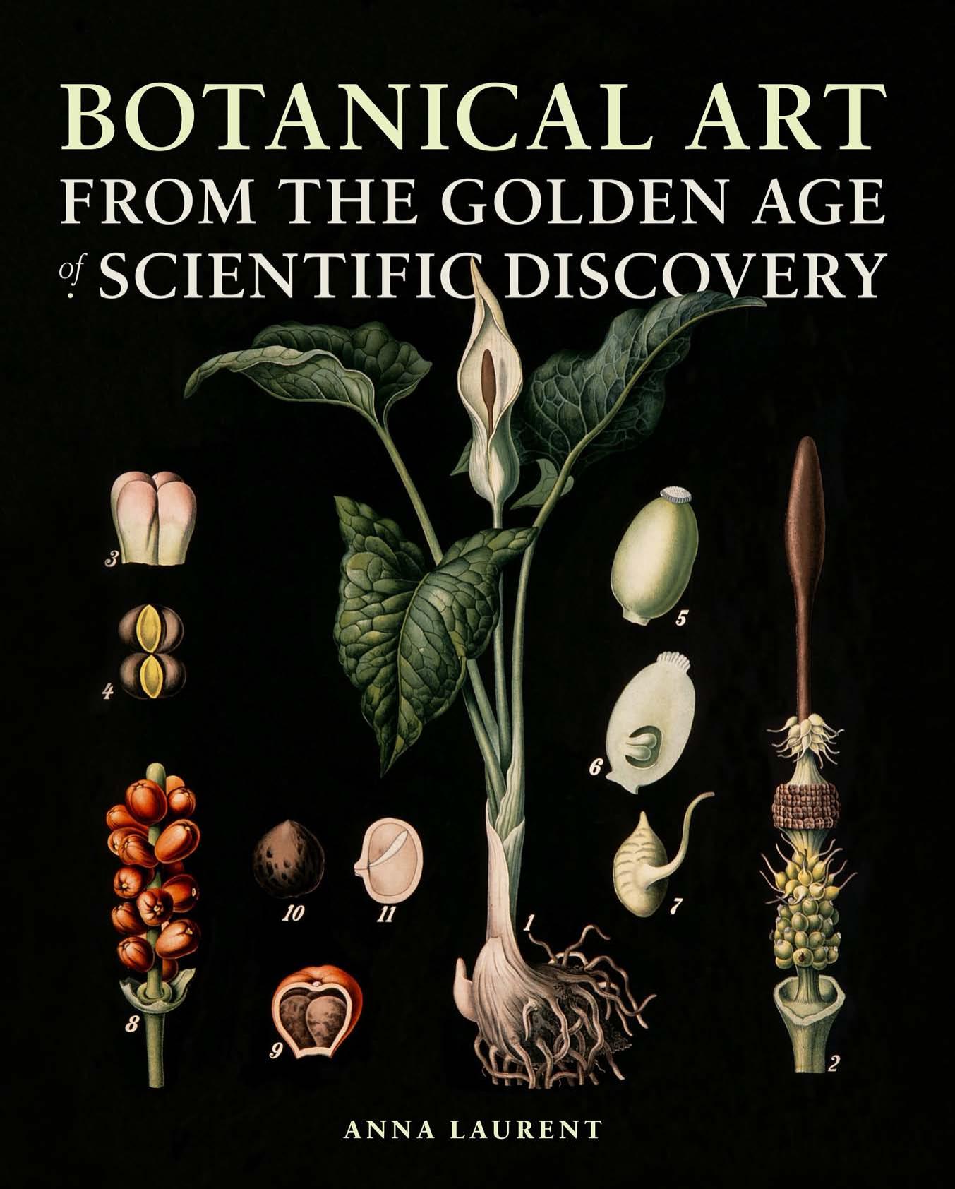 Botanical Art from the Golden Age of Scientific Discovery by Anna Laurent