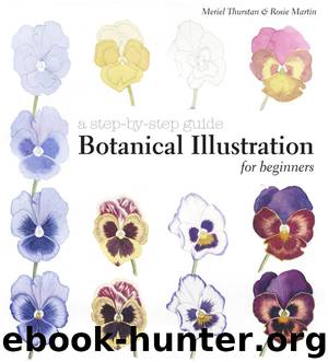 Botanical Illustration for Beginners by Meriel Thurstan