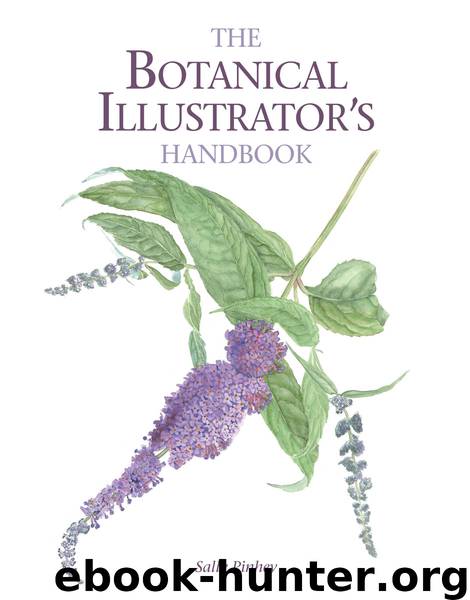 Botanical Illustrator's Handbook by Sally Pinhey