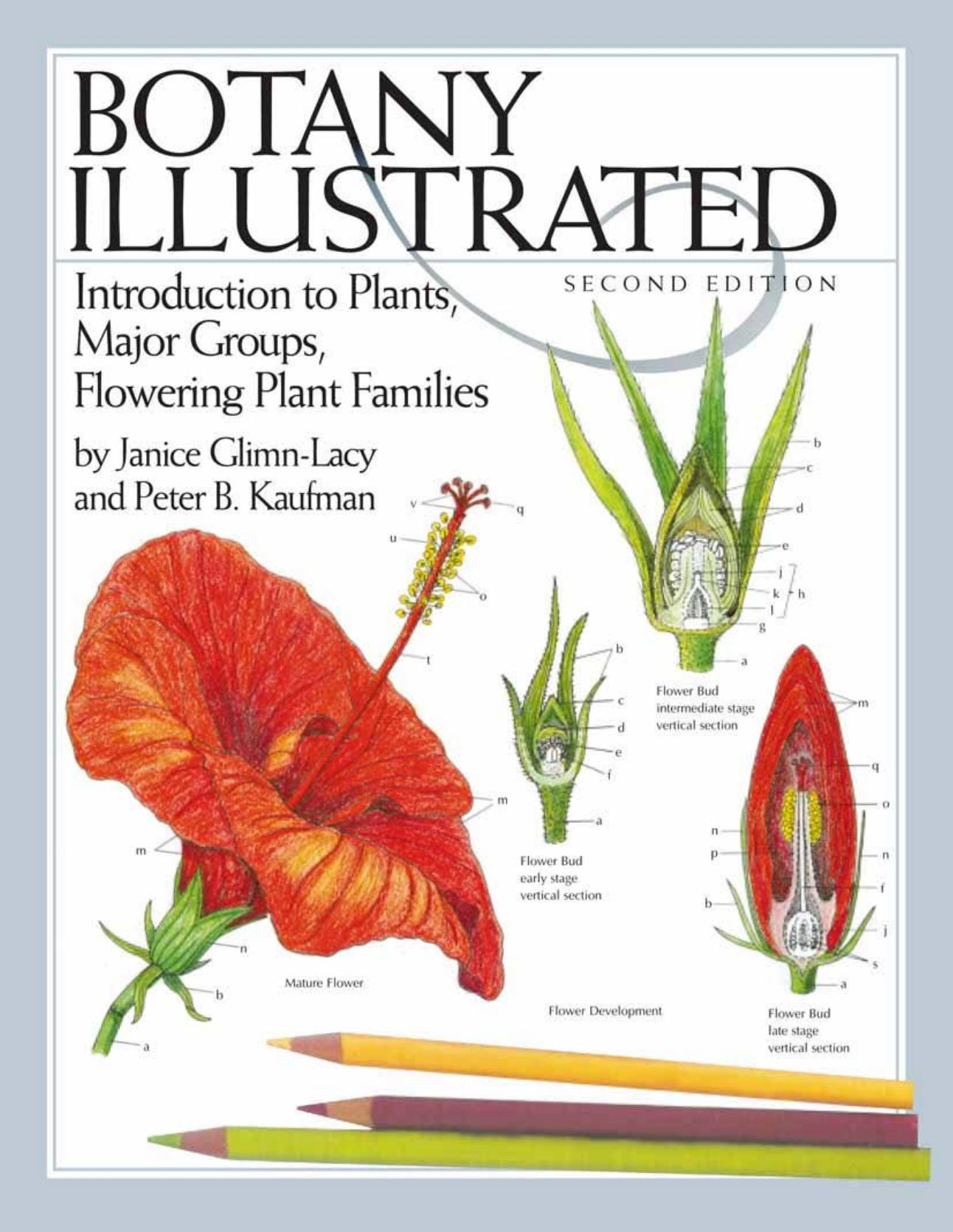 Botany illustrated : introduction to plants, major groups, flowering plant families by Janice Glimn-Lacy; Peter B Kaufman