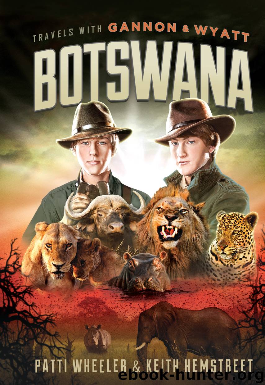 Botswana by Keith Hemstreet & Keith Hemstreet