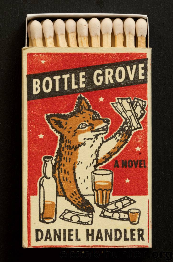 Bottle Grove by Daniel Handler