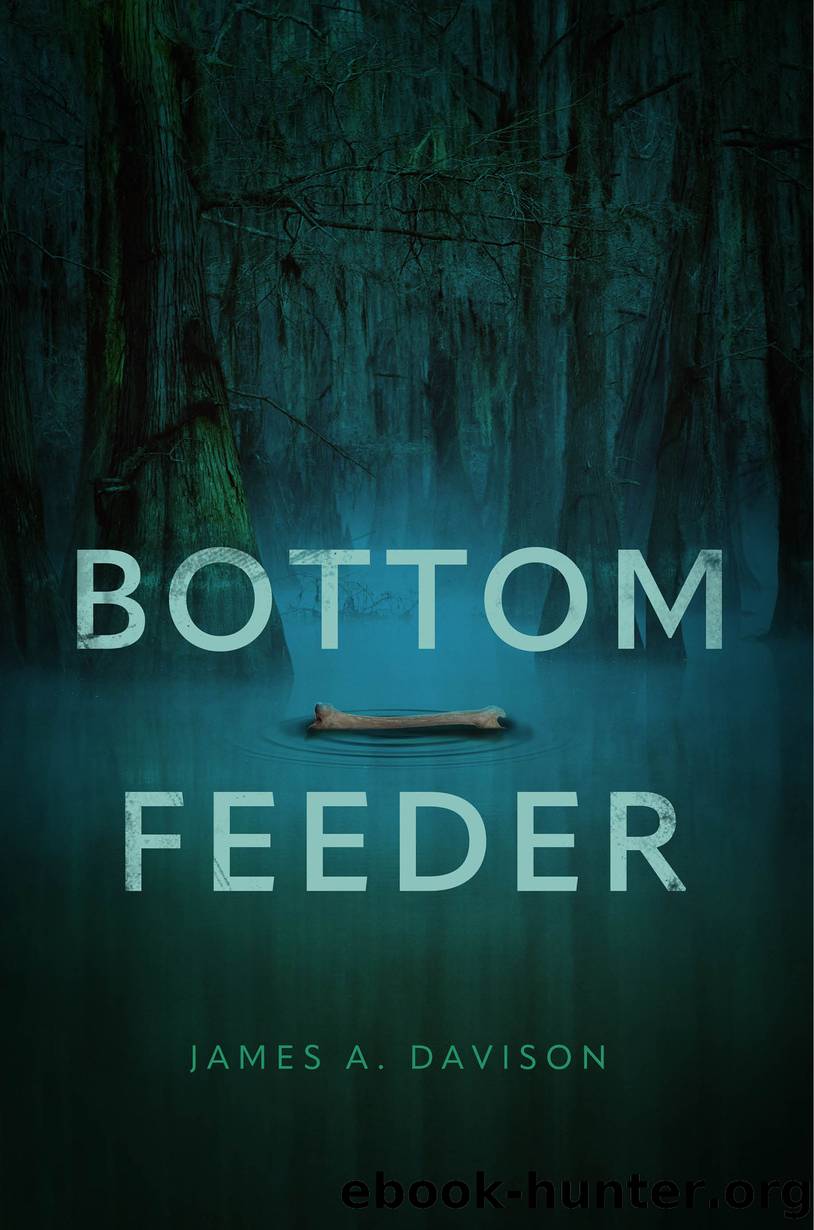 Bottom Feeder by James A. Davison