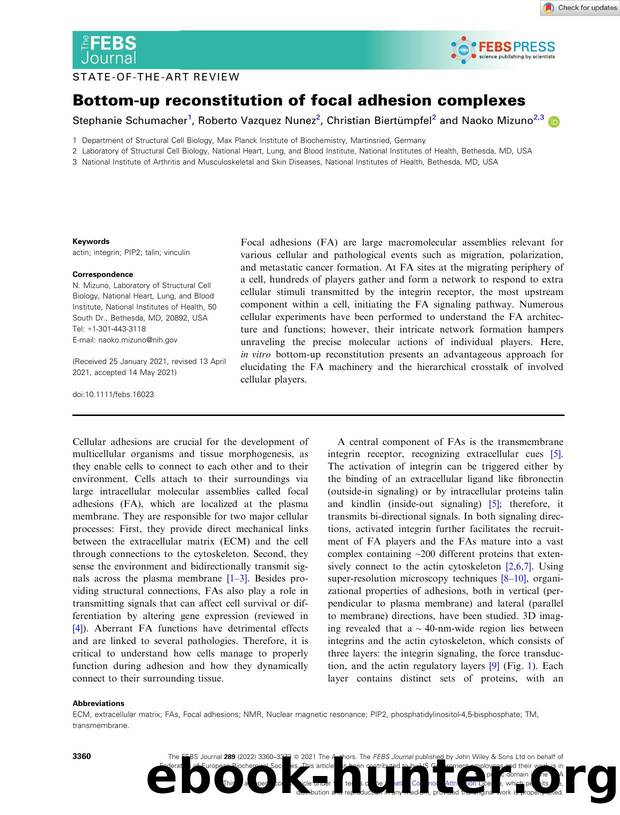 Bottomâup reconstitution of focal adhesion complexes by Unknown