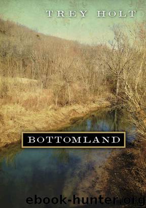 Bottomland: A Novel Based on the Murder of Rosa Mary Dean in Franklin, Tennessee by Trey Holt