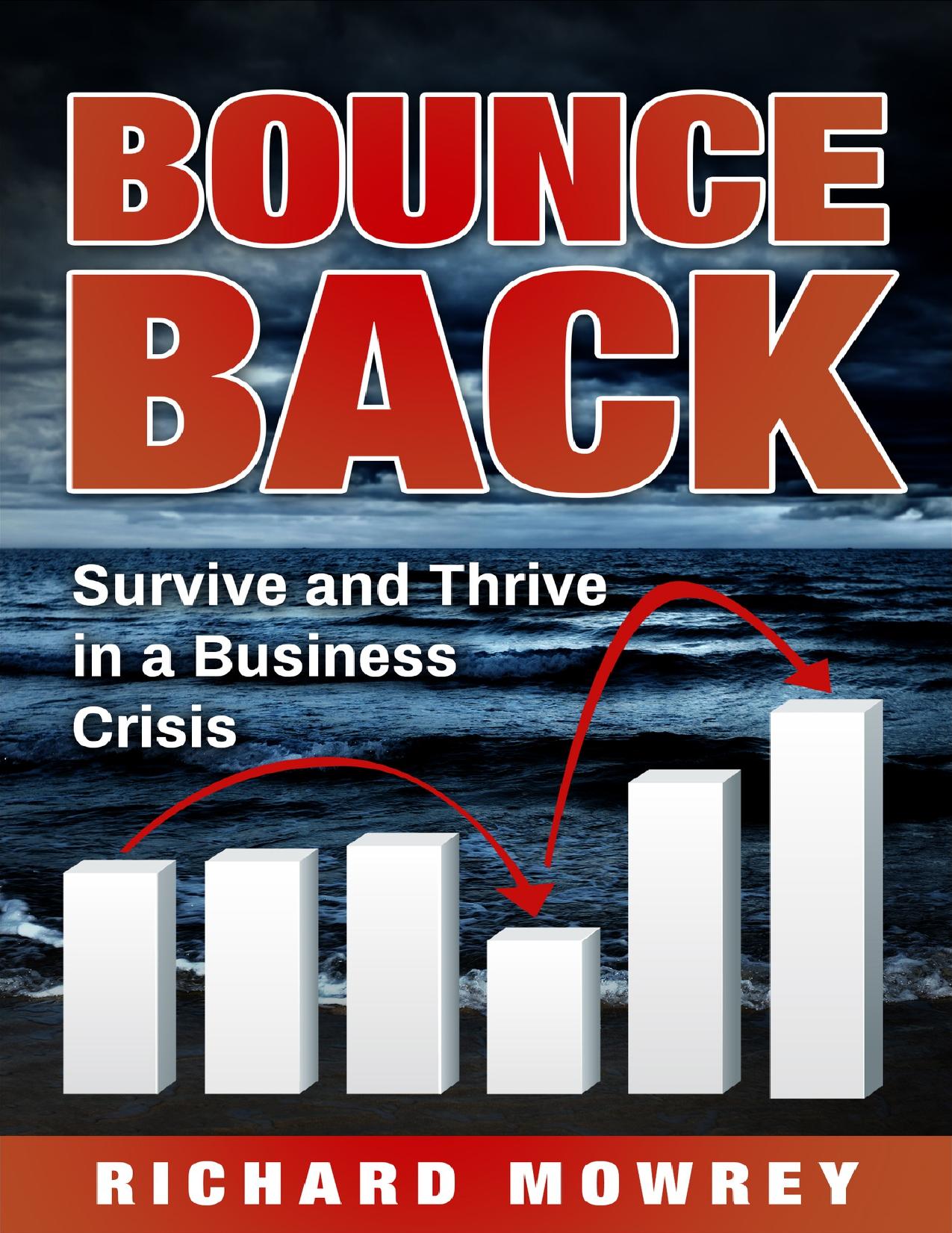 Bounce Back: Survive and Thrive in a Business Crisis by Mowrey Richard