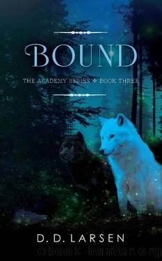 Bound (The Academy Series Book 3) by D. D. Larsen