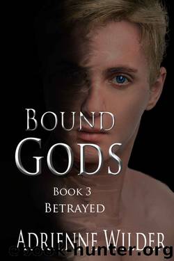 Bound Gods: Betrayed by Adrienne Wilder