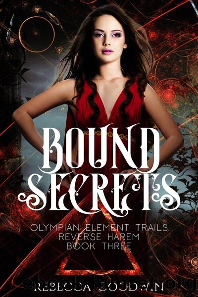 Bound Secrets by Rebecca Goodwin