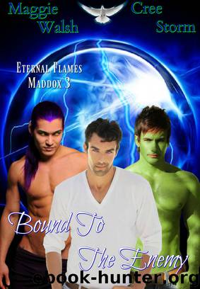 Bound To The Enemy Eternal Flames Maddox 3 by Cree Storm