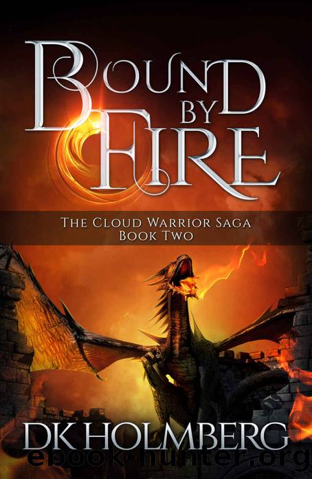 Bound by Fire by D. K. Holmberg