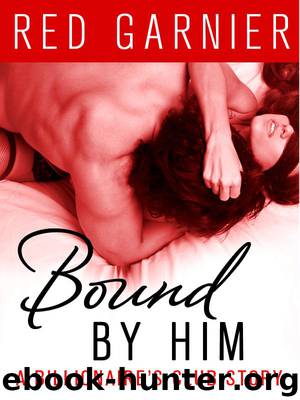 Bound by Him: A Billionaire's Club Story by Red Garnier