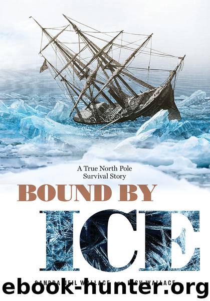 Bound by Ice by Sandra Neil Wallace