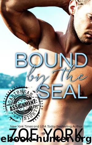 Bound by the SEAL (ASSIGNMENT: Caribbean Nights Book 5)