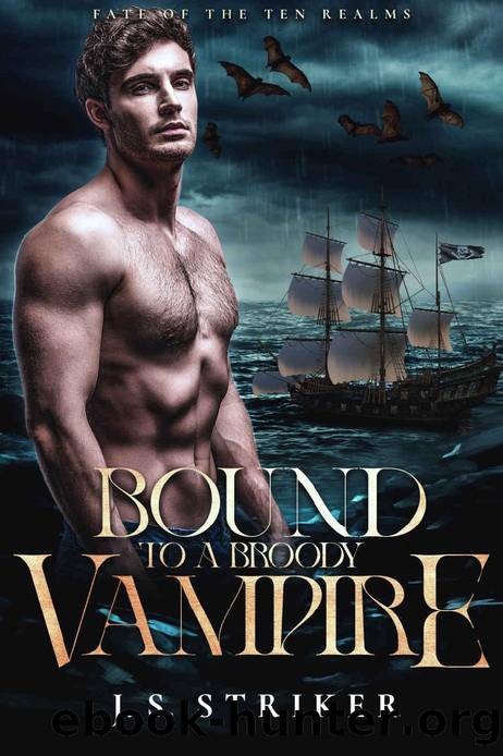 Bound to a Broody Vampire (Fate of the Ten Realms Book 4) by J. S. Striker