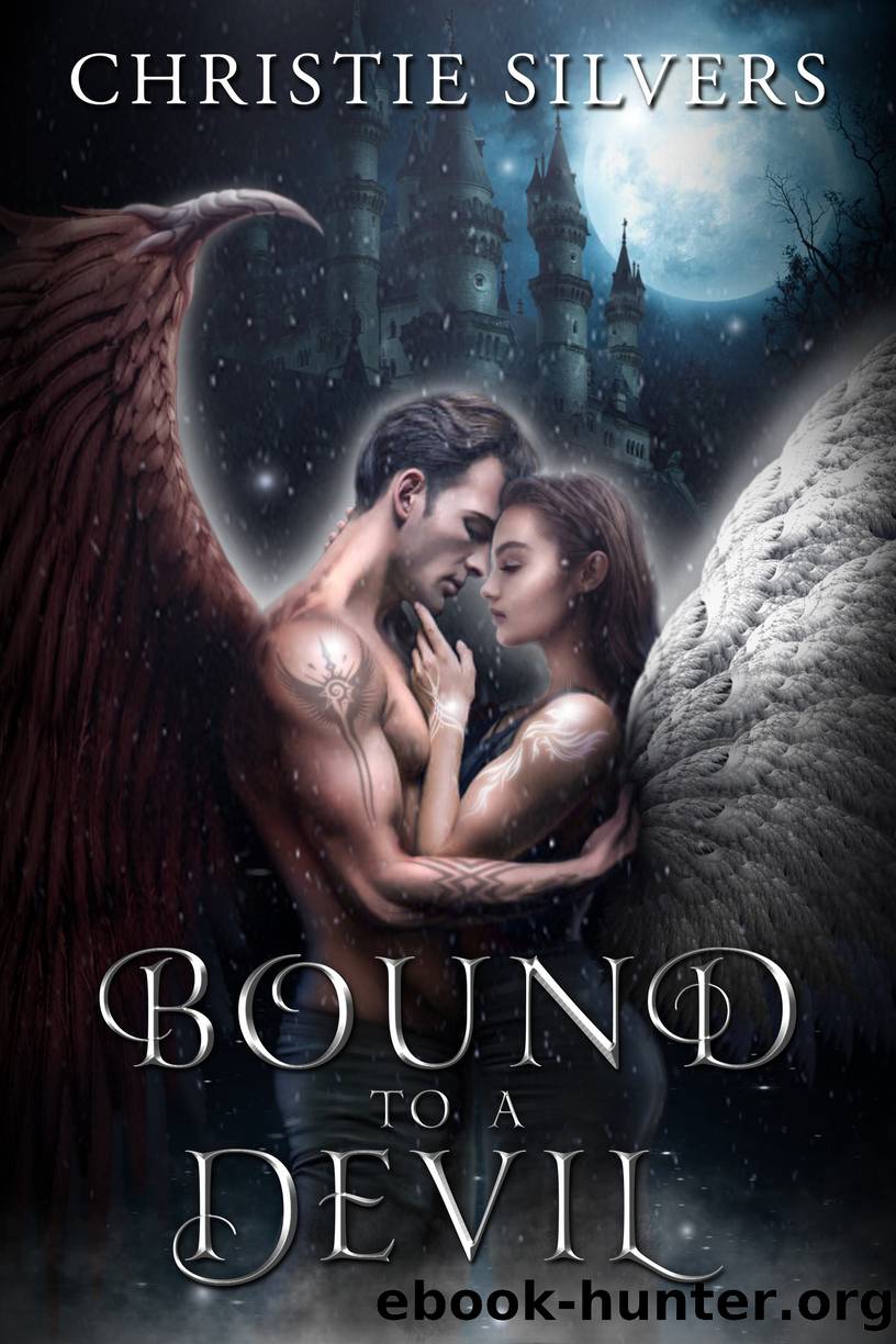 Bound to a Devil (Devil Family Series, Book 1) by Christie Silvers