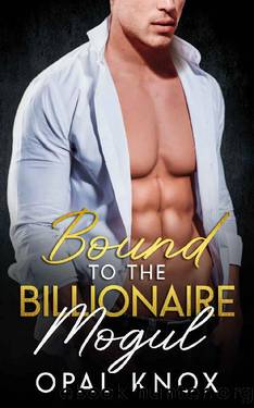 Bound to the Billionaire Mogul: An Enemies to Lovers Stuck Together Romance by Opal Knox