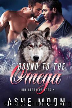 Bound to the Omega: An MM Mpreg Romance (Luna Brothers Book 4) by Ashe Moon
