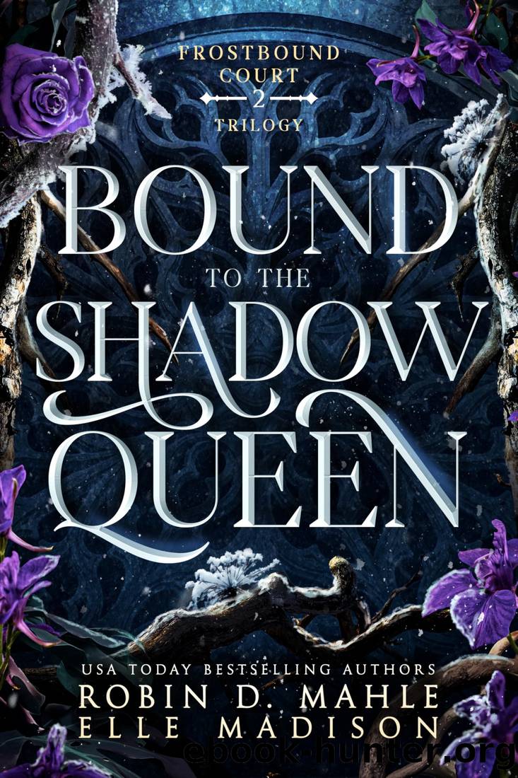 Bound to the Shadow Queen (Frostbound Court Book 2) by Robin D. Mahle & Elle Madison