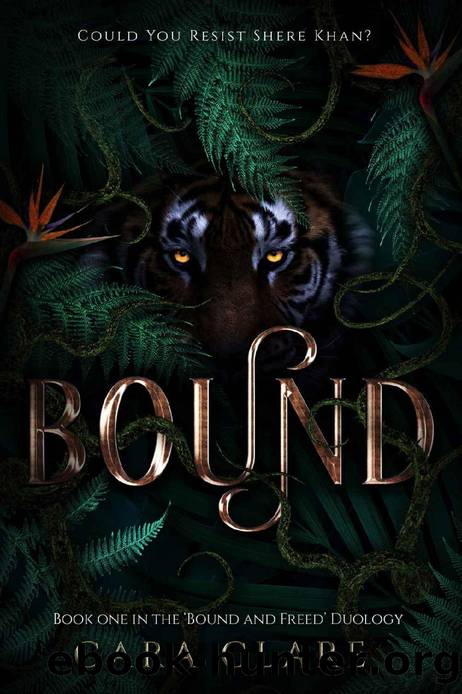 Bound: Book One in the 'Bound & Freed' Duology (Corrupted Classics 1) by Cara Clare