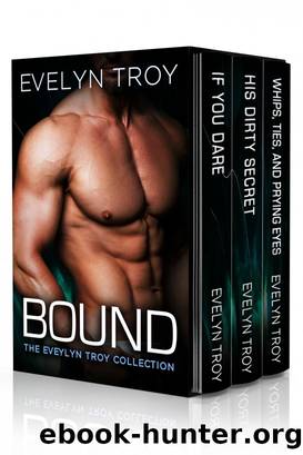 Bound: The Evelyn Troy Collection by Evelyn Troy