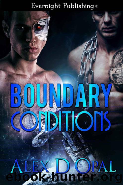 Boundary Conditions by Alex D Opal