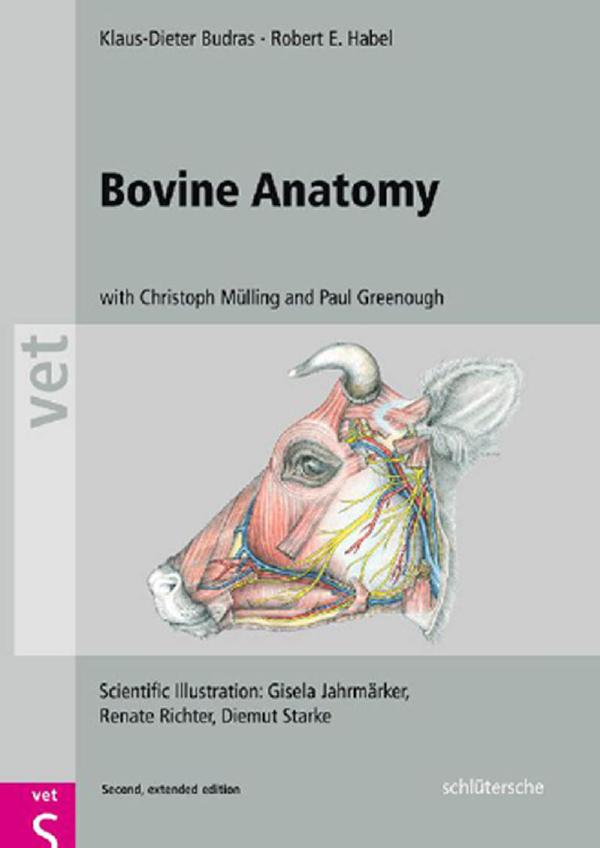 Bovine Anatomy : An Illustrated Text (2nd Edition) by Budras Klaus-Dieter(Author)