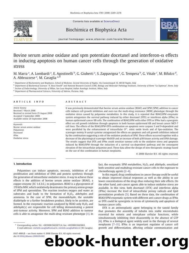 Bovine serum amine oxidase and spm potentiate docetaxel and interferon-Î± effects in inducing apoptosis on human cancer cells through the generation of oxidative stress by unknow