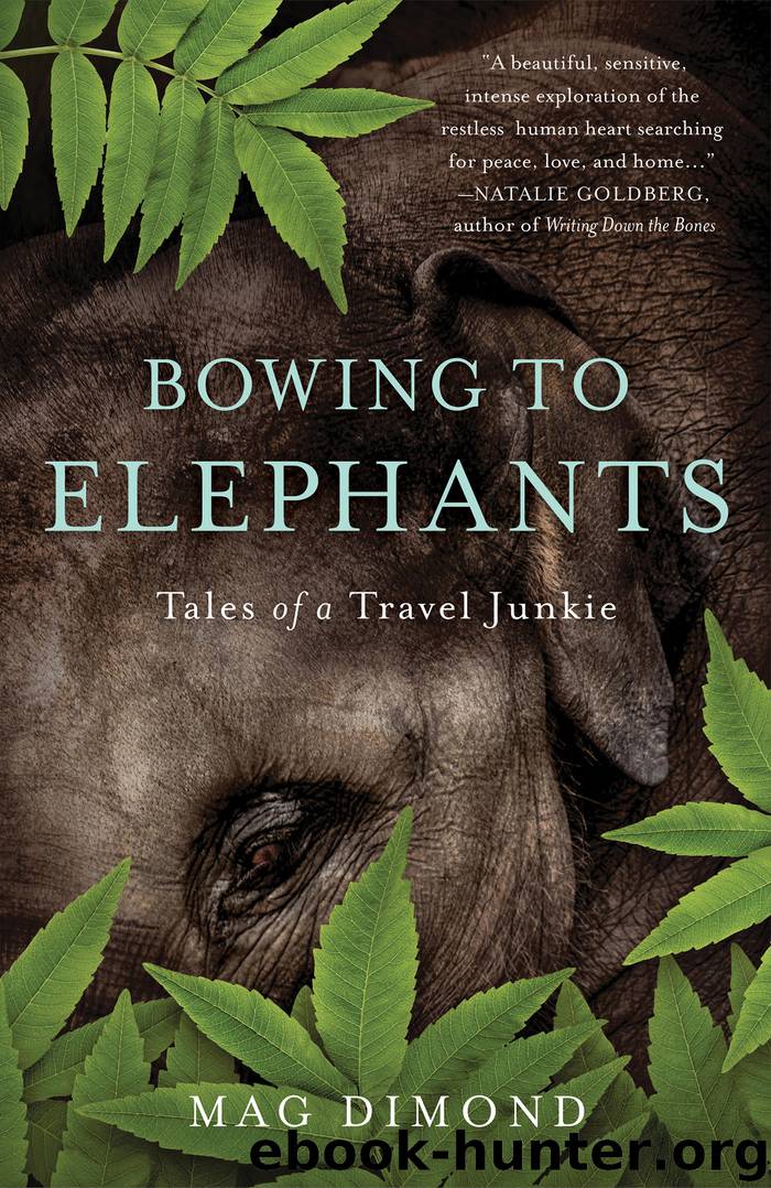 Bowing to Elephants by Mag Dimond