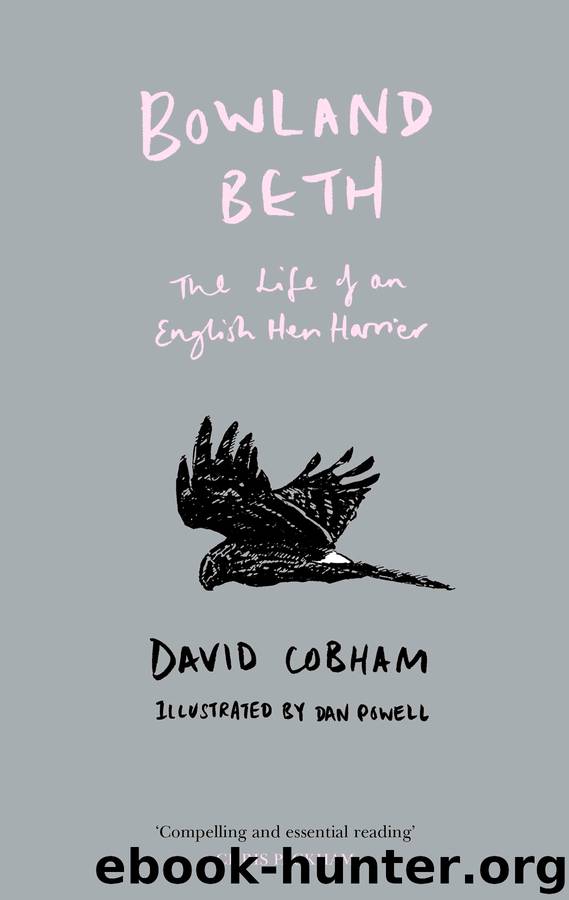 Bowland Beth by David Cobham