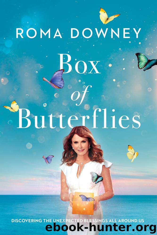 Box of Butterflies by Roma Downey
