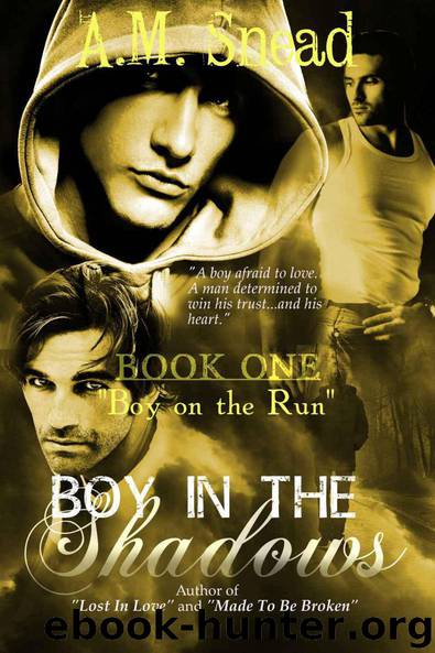 Boy In The Shadows: "Boy On The Run" (Book 1) by A.M. Snead