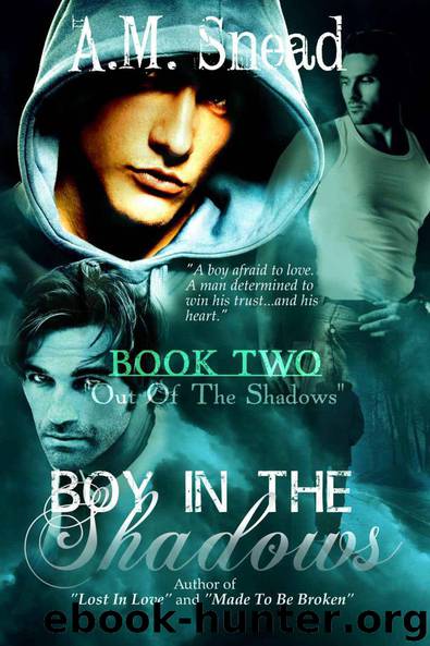 Boy In The Shadows: "Out of the Shadows" (Book 2) by A.M. Snead