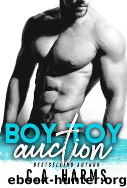 Boy Toy Auction by C.A. Harms