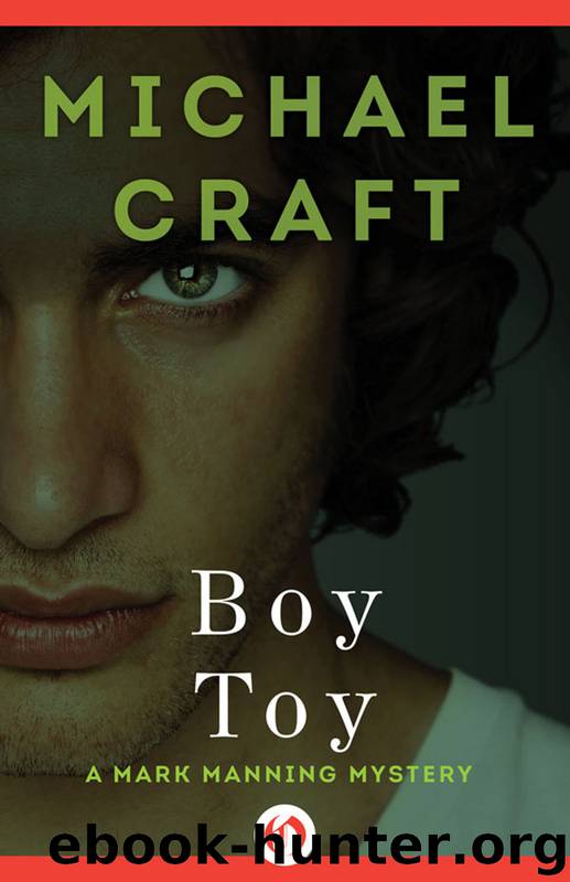 Boy Toy by Michael Craft