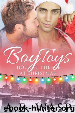 Boy Toys: Hot Off the Ice at Christmas by A. E. Wasp