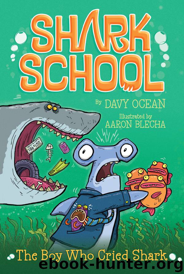 Boy Who Cried Shark by Davy Ocean