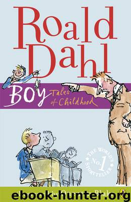 Boy by Roald Dahl