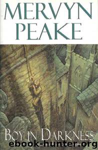 Boy in Darkness by Mervyn Peake